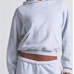 Skims Gray Hoodie